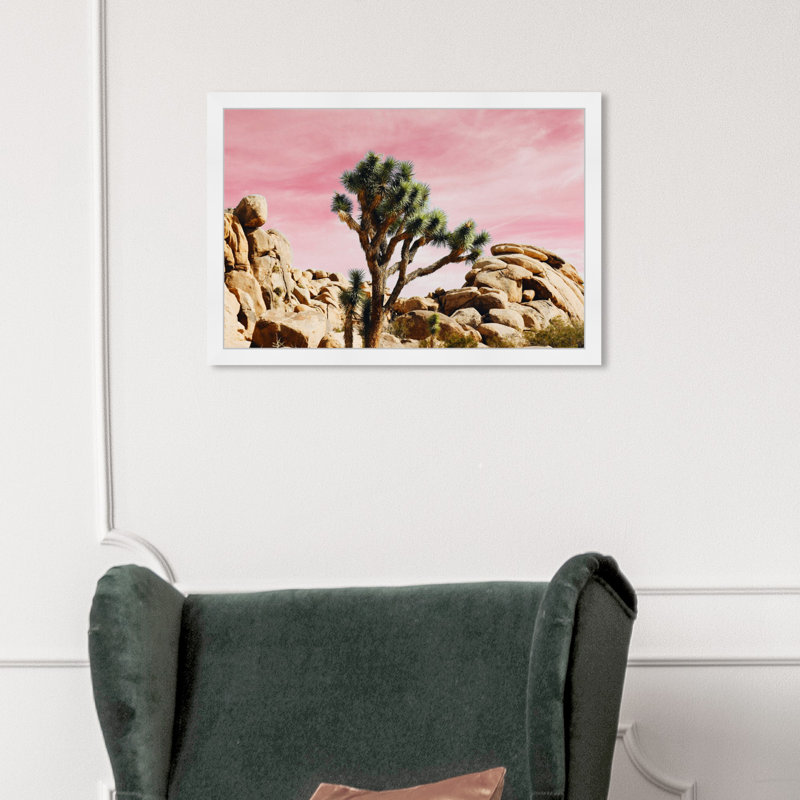 « joshua tree rose », impression, H 22 po x l 32 po x P 0,5 po, Cadre photo