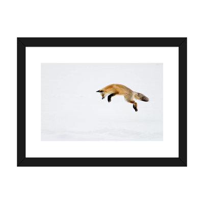 États-Unis, parc national de Yellowstone, Wyoming. Un renard roux saute pour se cacher sous la neige. par Deborah Winchester - reproduction