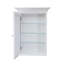 Armoire à pharmacie à fixation en surface avec 4 tablettes réglables Bernardsville-2071532876