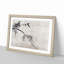 Squirrel on a Bamboo by Kano Tan'yu - Picture Frame Painting Print-55619692-55619687