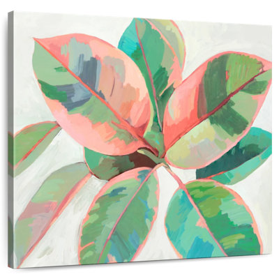 Harnek Pink Ficus II