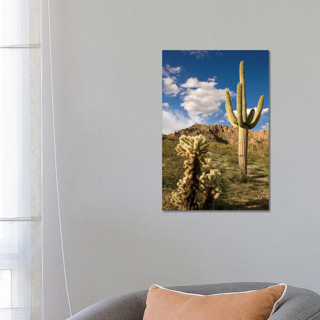 Saguaro Cactus In Desert, Arizona by Tom Vezo - Wrapped Canvas Print