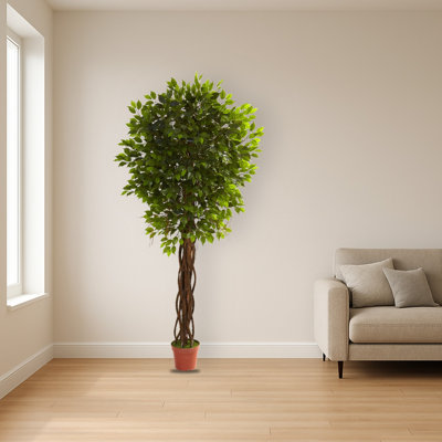 Ficus Artificial Tree with Twisting Vines