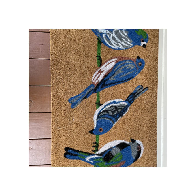 Abagail Non-Slip Outdoor Doormat - Rectangle 2' x 3'