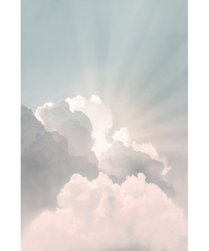 Wrapped Canvas Print, 76.2 cm H x 50.8 cm W