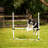Midlee Plastic Agility Training Equipment with Carrying Case