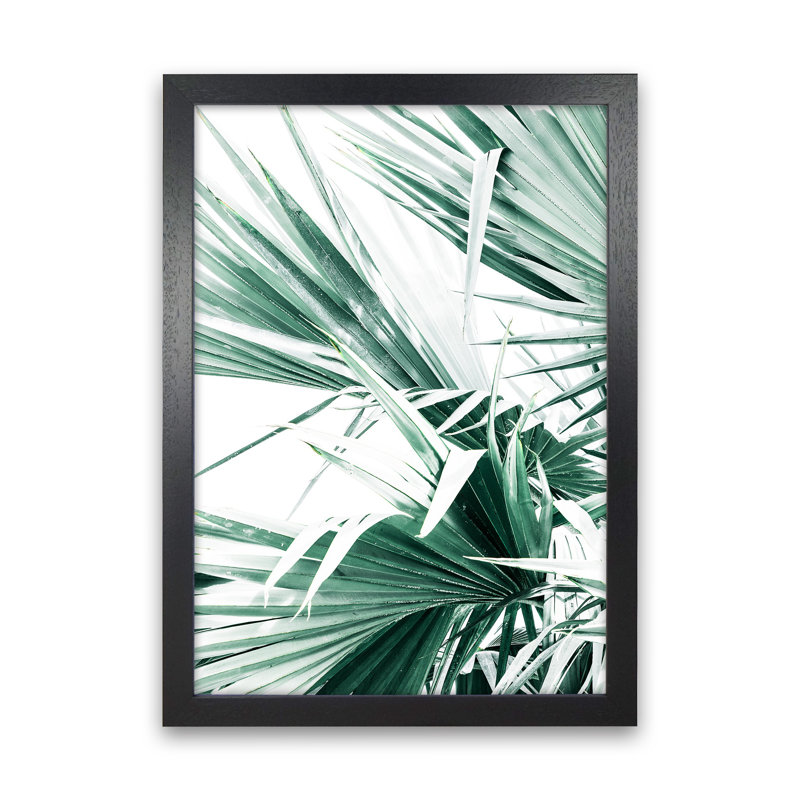 Palm Leaves II by Victoria Frost - Print, 46cm H x 34cm W x 3cm D, Black Framed