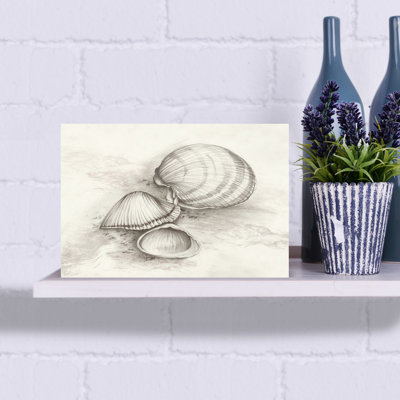 Seashells Resting On Sand by Eli Jones - Wrapped Canvas Print