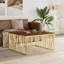 Angeliqua Frame Coffee Table-1447405675-1447405671-1447405670