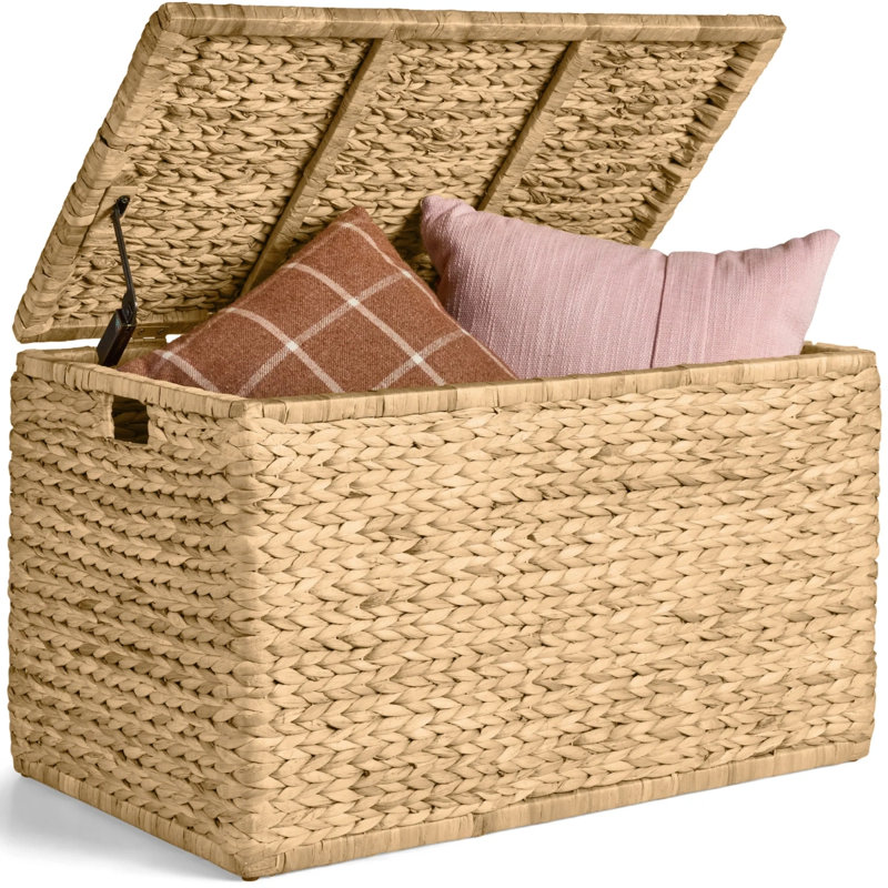 Storage Trunk