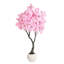 Plant-380696461