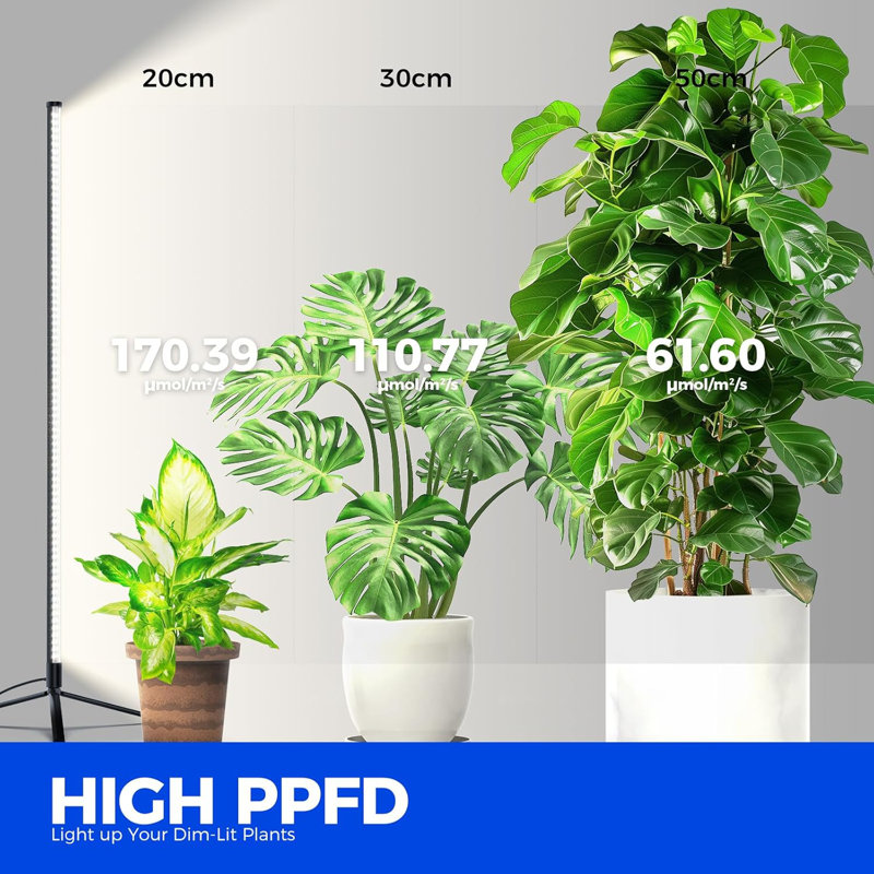Barrina T10 Standing Grow Light , Full Spectrum, 42w 5000k,  Vertical Grow Light, 4ft Height With On/off Switch