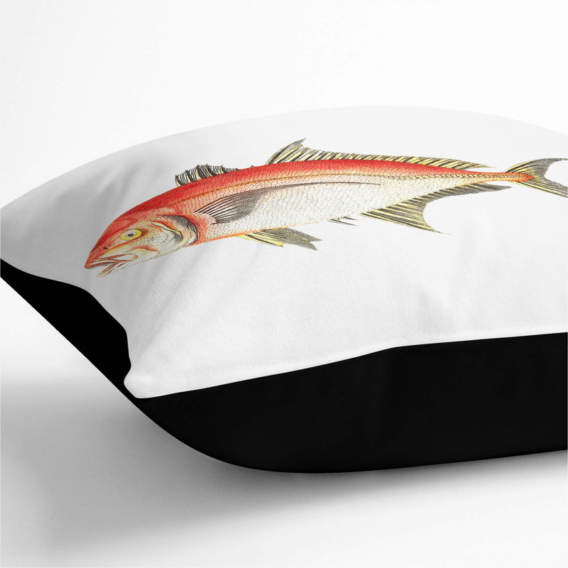 Square Cushion, Black, 55cm H x 55cm W x 20cm D