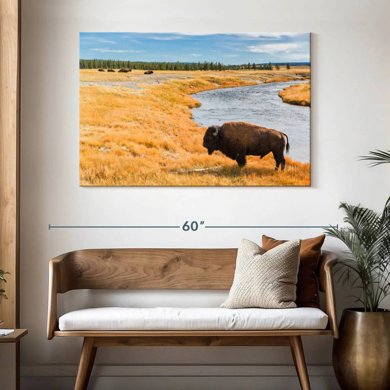 Brampt National Park Bison, 32" H x 48" W