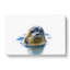 Grey Seal - Wrapped Canvas-55360432