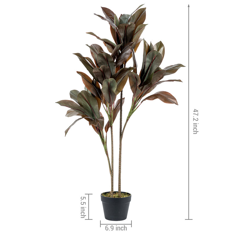119.9cm Faux Rubber Tree in Plastic / Acrylic Pot
