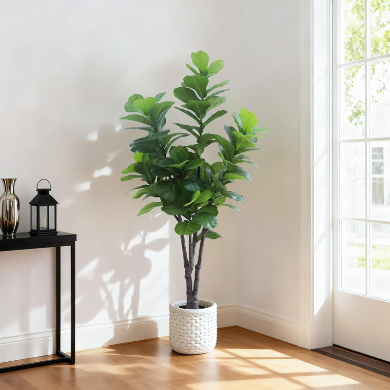 72cm Plant