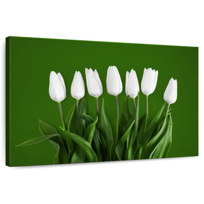 Harnek White Tulips