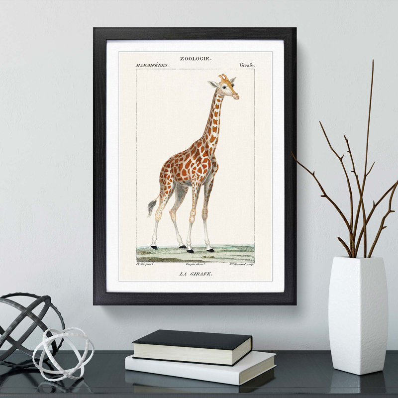 Giraffe by P.J.F. Turpin - Picture Frame Painting Print, 65cm H x 48cm W x 2cm D, Black Framed