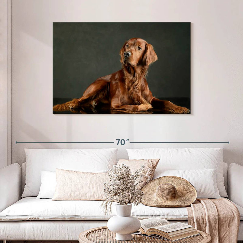 Setter irlandais fidèle