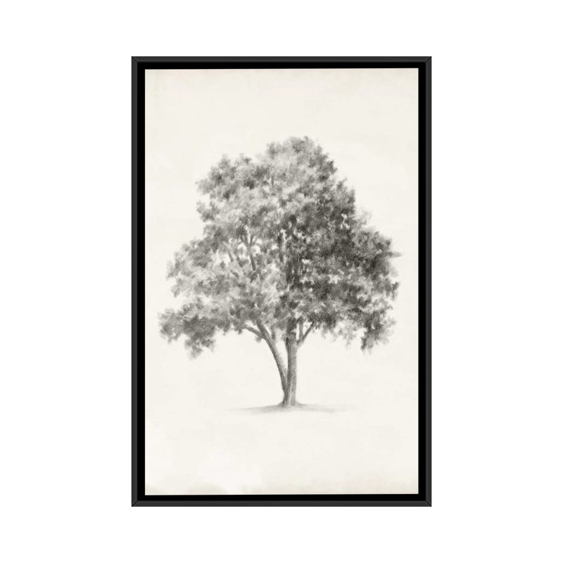 « arbor study i », reproduction d’art sur toile, Pas de tapis, H 26 po x l 18 po x P 1,5 po, Toile avec cadre noir