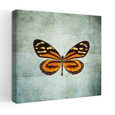 Art français de papillon contemporain français