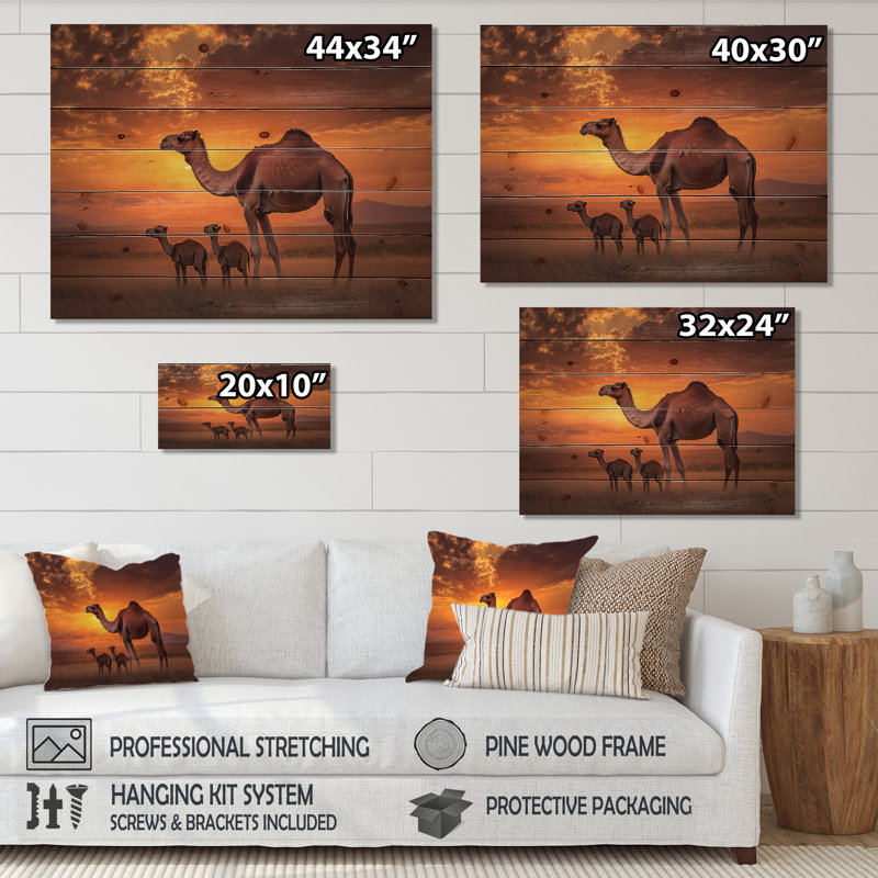 Afrique, paysage de chameaux au coucher du soleil - Art mural moderne sur bois de pin naturel, H 24 po x l 32 po x P 0,78 po