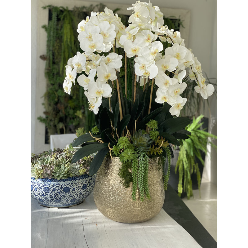 Orchid Floral Arrangement in Pot, 28" H x 18' W x 18" D