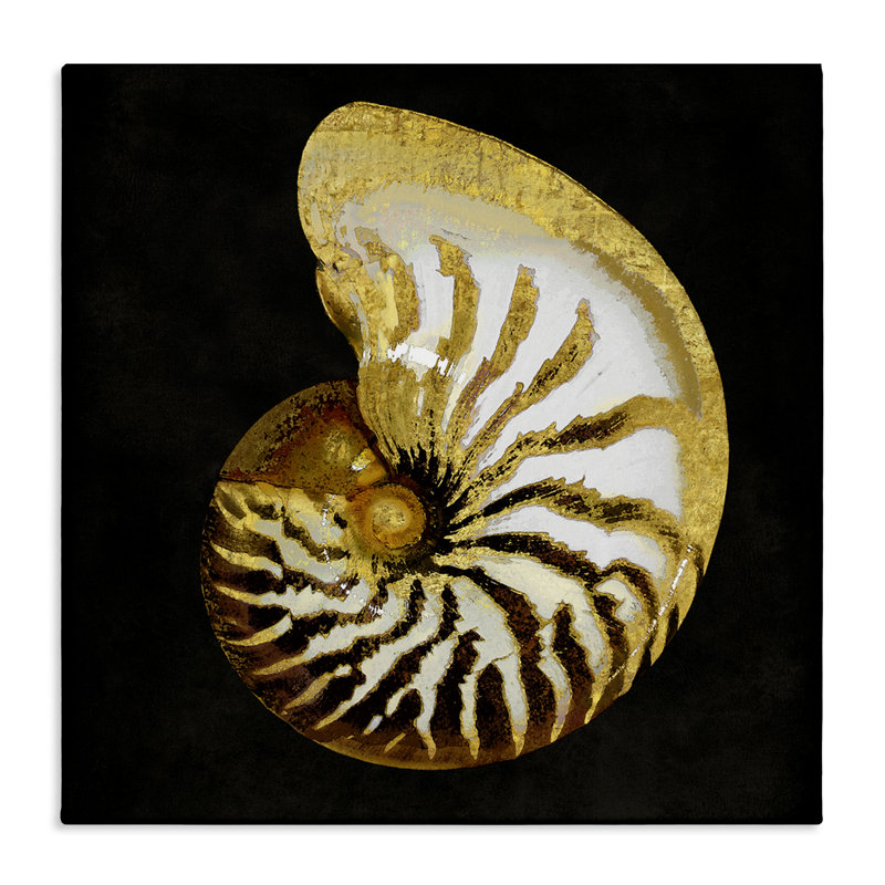 Art mural en spirale à motif de coquillages par Caroline Kelly, H 30 po x l 30 po