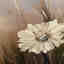 Customer photo 3 of 4