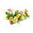 Mixed Spring Centerpiece