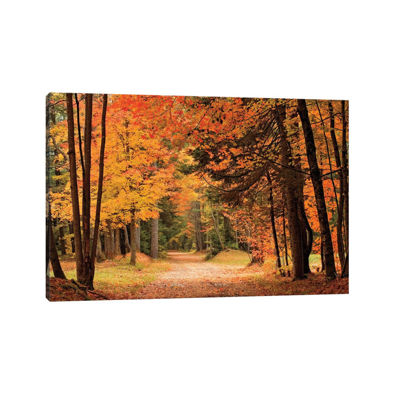 Autumn Walk by Andrea Stokes - Wrapped Canvas Print, 20.32 cm H x 30.48 cm W