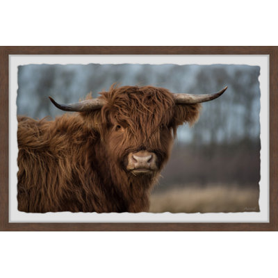 Woolly Coat - Single Picture Frame Print