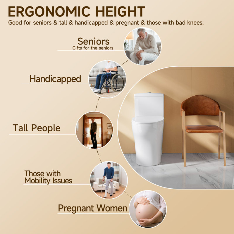 19" Elongated Bowl ADA Height Toilet One Piece Skirted Toilet for Seniors, Dual Flush 1.0/1.28 GPF, MAP 1000g