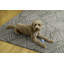 Tapis intérieur / extérieur Kivett Leaf-2078929209