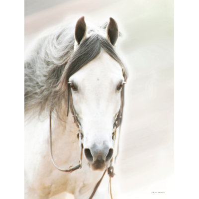 «The Gray Reiner» sur toile par Kari Brooks