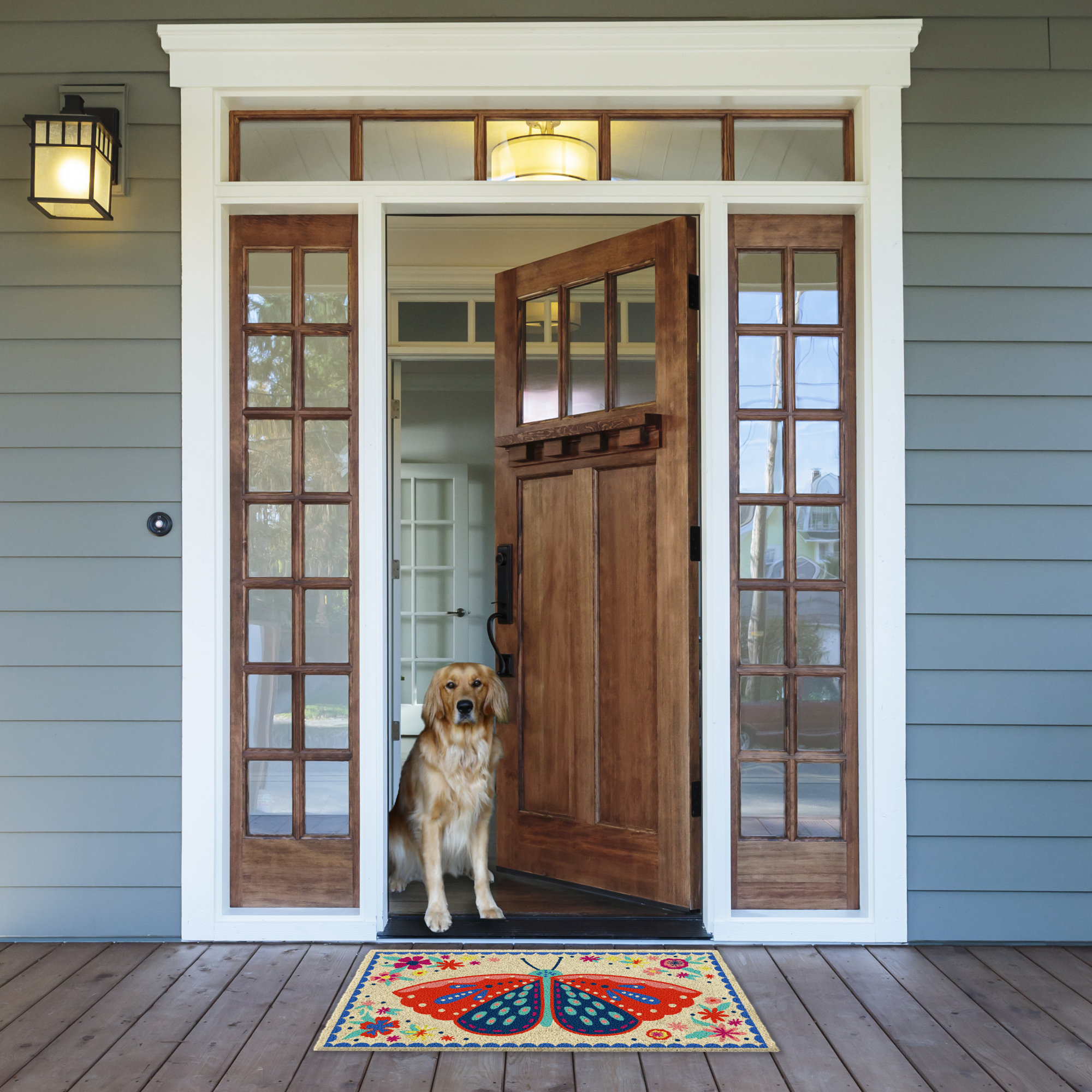 Lassina Non-Slip Door Mat Indoor Outdoor Door Rugs for Entryway 30'' x 17''  Home Entrance Floor Mats