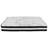 Riverdale Tufted Platform Bed with 10 Inch Pocket Spring Mattress-52247931-52247930