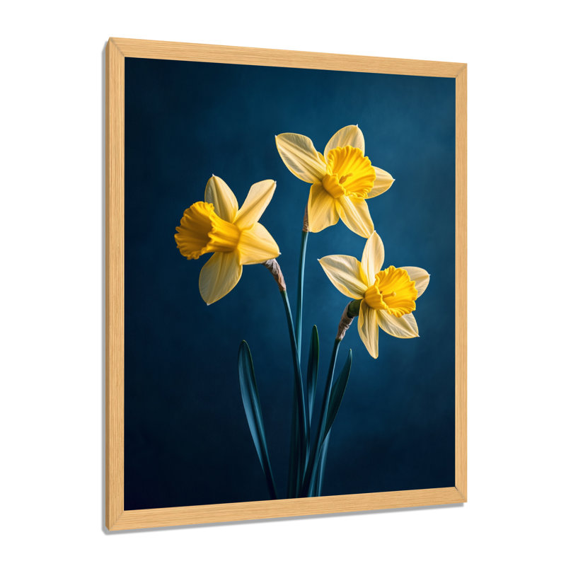 Deepmoody Moody Daffodils Contrast II - Tableau encadré, H 20 po x l 12 po, Natural Picture Framed