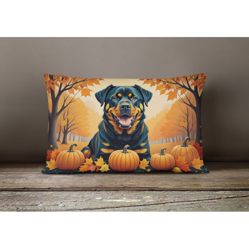 Other/No Pattern Throw Pillow