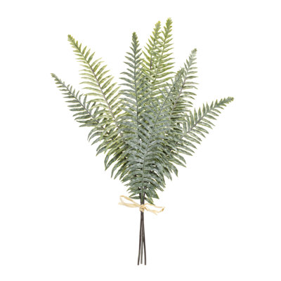 Ensemble de 2 feuilles de fougère