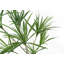 Anlin 125cm Faux Dragon Tree in Pot