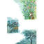 Nature Secrets - Wrapped Canvas Painting