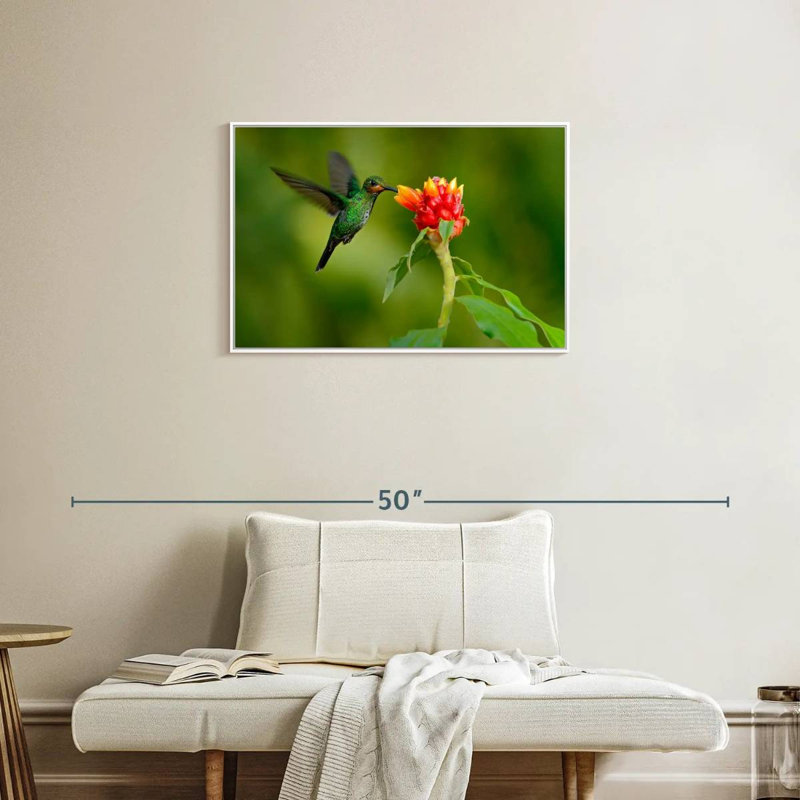 Fleur et colibri vert, Cadre flottant blanc, 31 po x 21 po