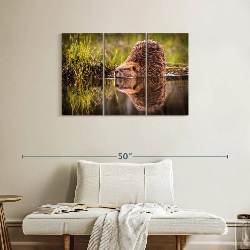 Brampt Beaver, 24" H x 38" W