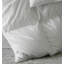 Cardigan Goose Down Comforter-36094083-36094081