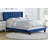 Valencia Velvet Upholstered Platform Bed Frame with Adjustable Height Headboard , Requires Box Spring-Boyd Sleep-872733400-872733401
