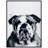 " Bulldog " by Jodi P.