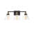 3 - Light Vanity Light