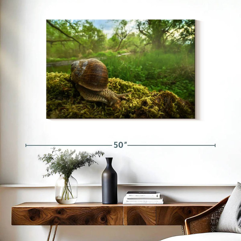 Escargot de jardin romain, H 26 po x l 39 po